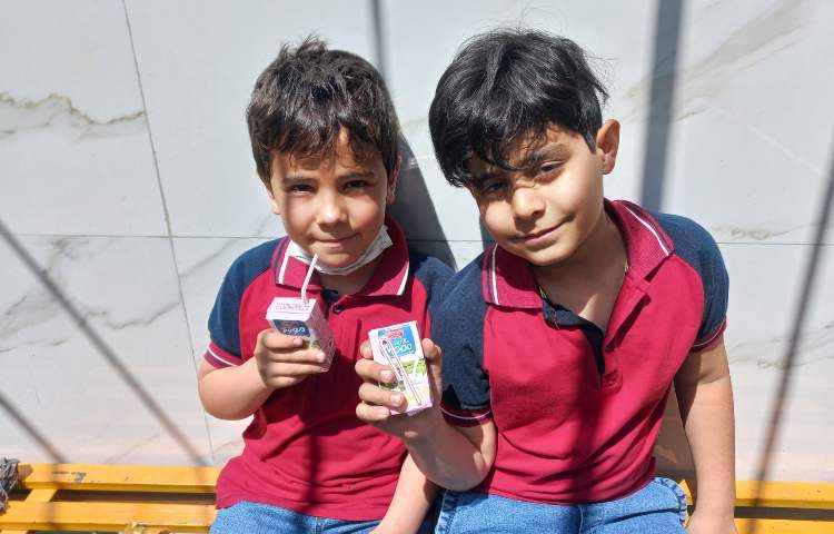 توزیع میان وعده 6