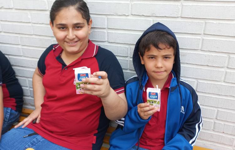 توزیع میان وعده 6