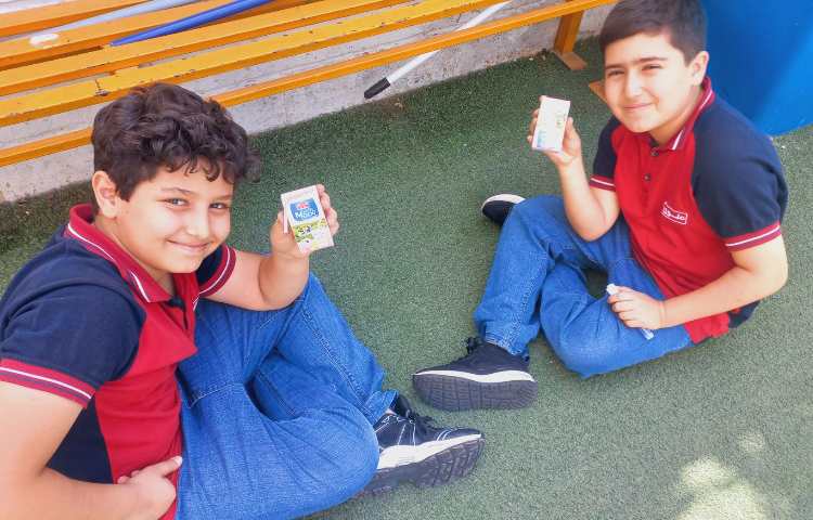 توزیع میان وعده 6