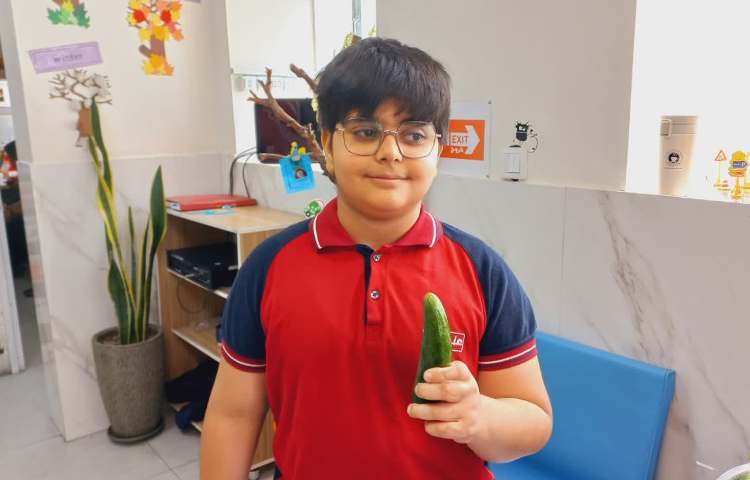 توزیع میان وعده 6