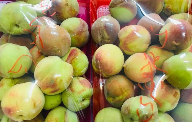 توزیع میان وعده 7