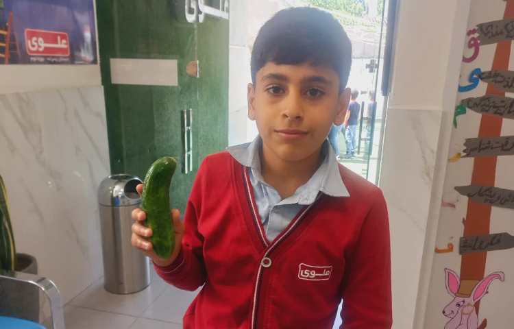 توزیع میان وعده 7