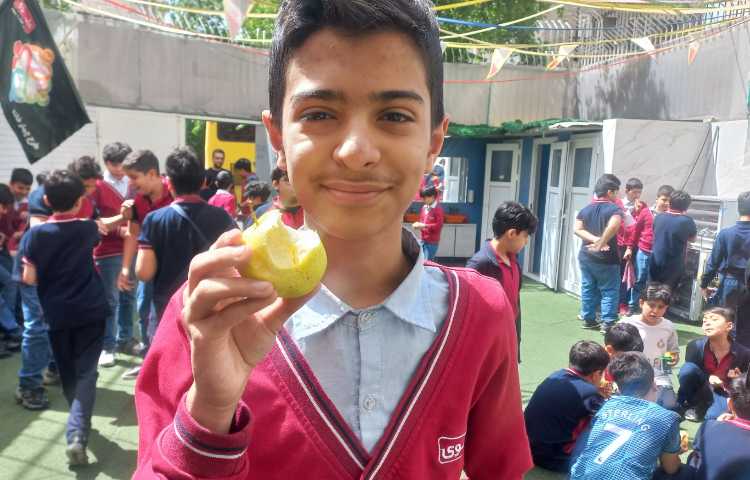 توزیع میان وعده 8