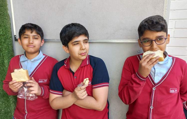 توزیع میان وعده 8