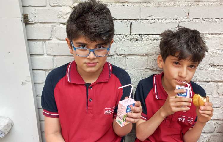 توزیع میان وعده 8