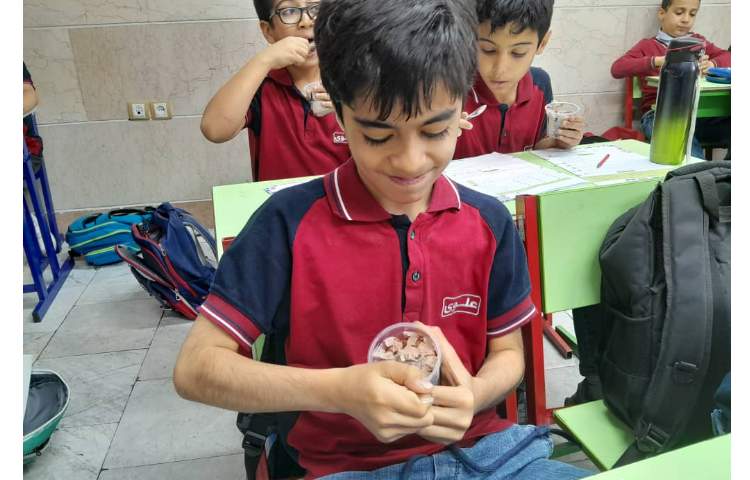 توزیع میان وعده 8