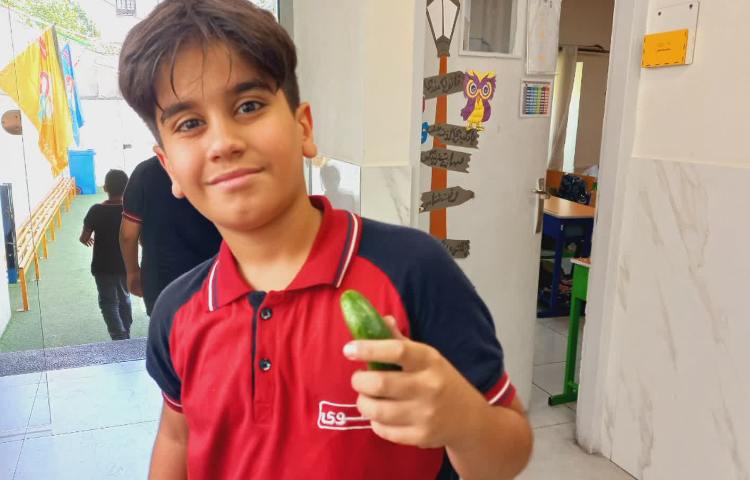 توزیع میان وعده 8