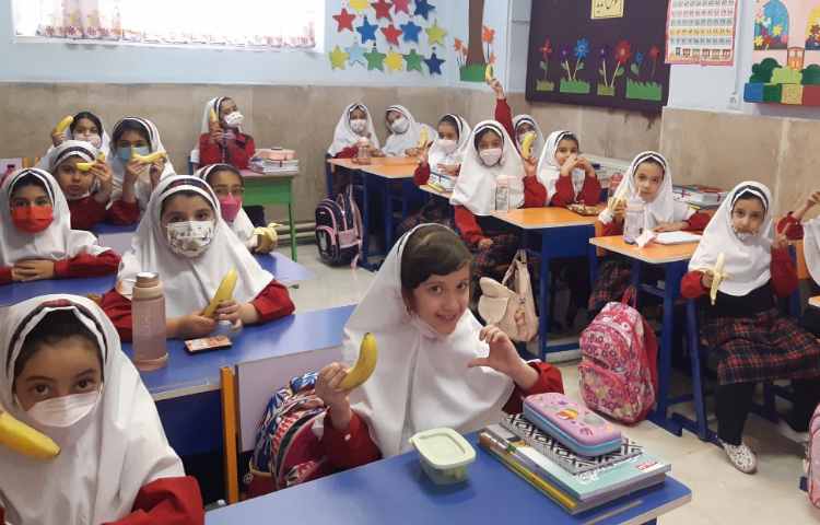 توزیع میان وعده