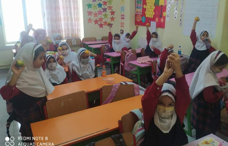 توزیع میان وعده