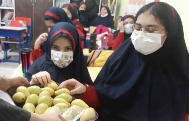 توزیع میان وعده