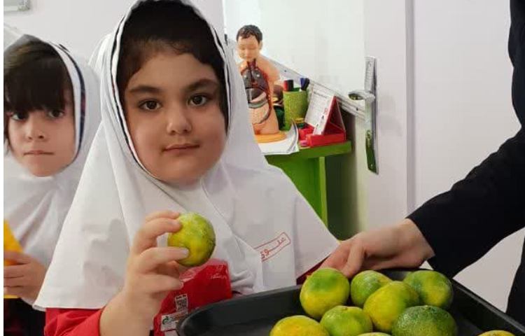 توزیع میان وعده