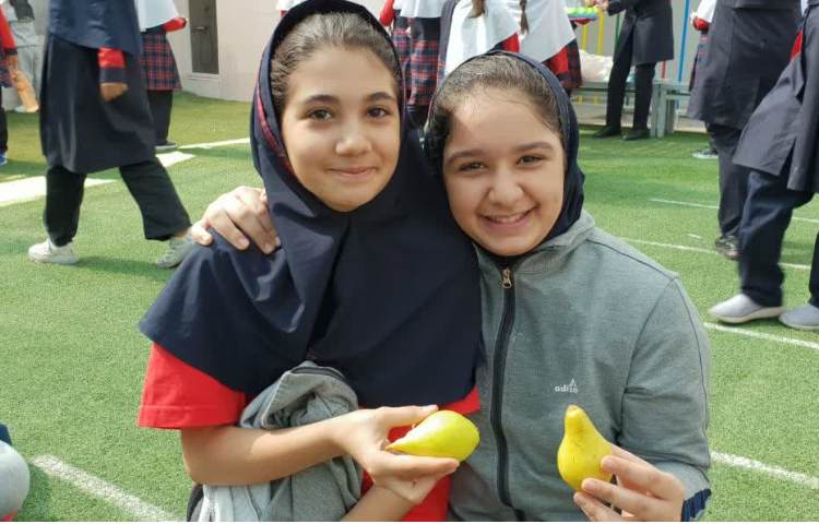 توزیع میان وعده