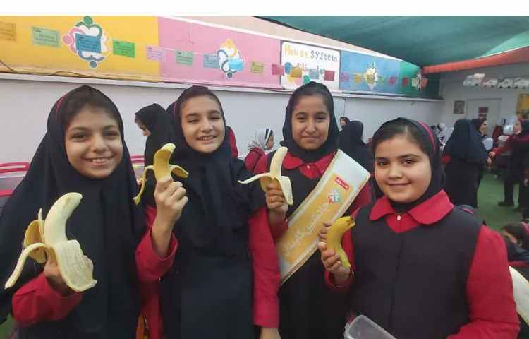 توزیع میان وعده