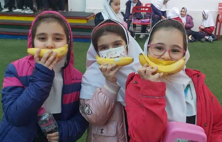 توزیع میان وعده