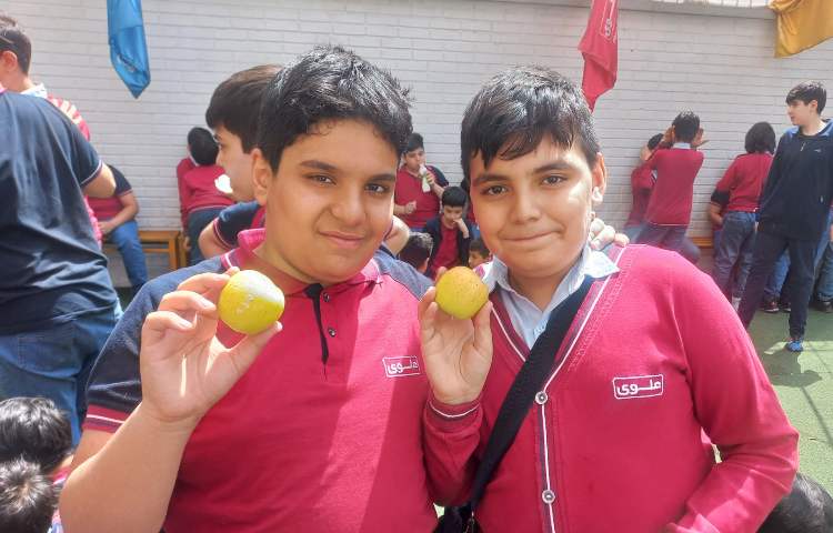 توزیع میان وعده