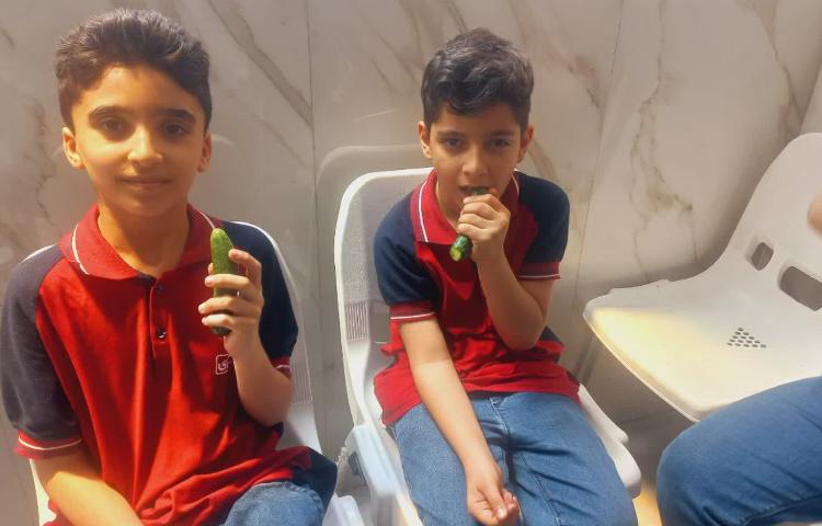 توزیع میان وعده