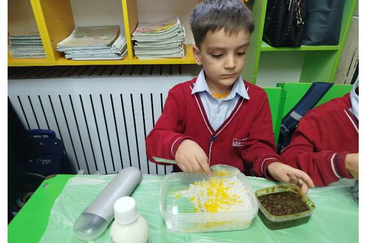 توزیع ناهار 0