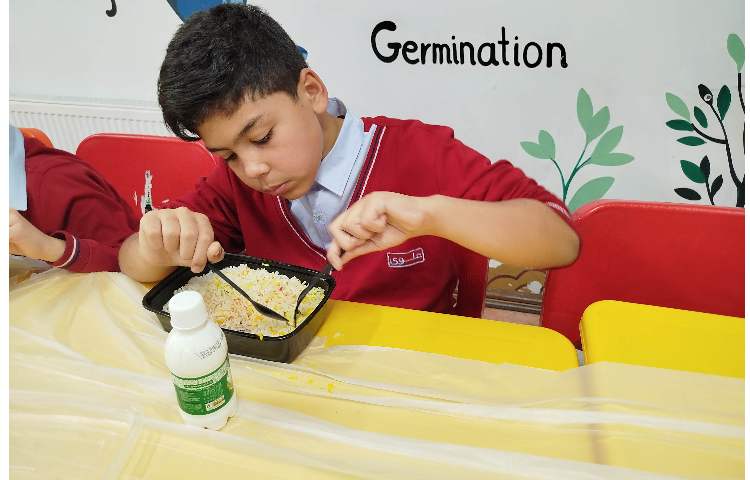 توزیع ناهار 10