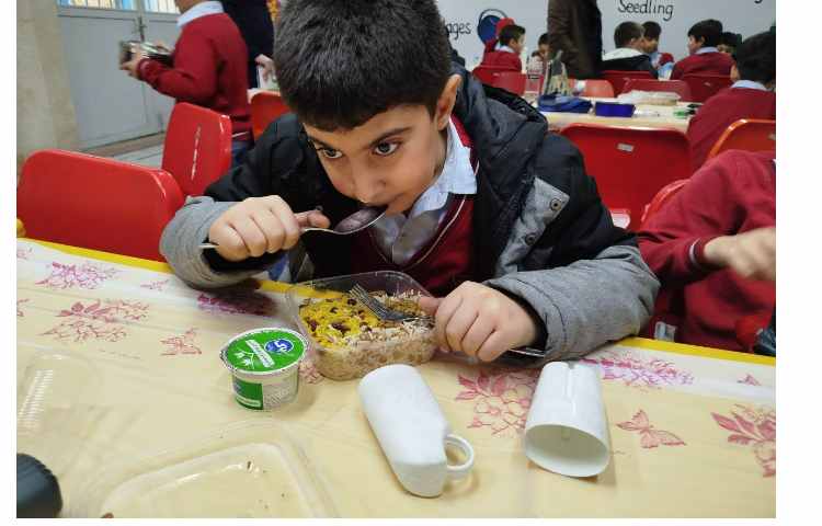 توزیع ناهار 11