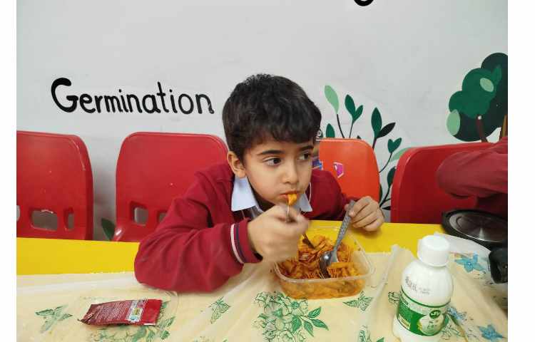 توزیع ناهار 15