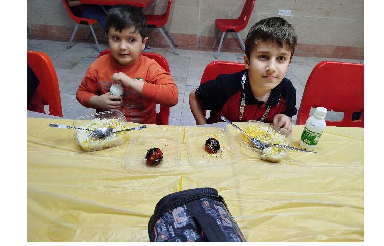 توزیع ناهار 3