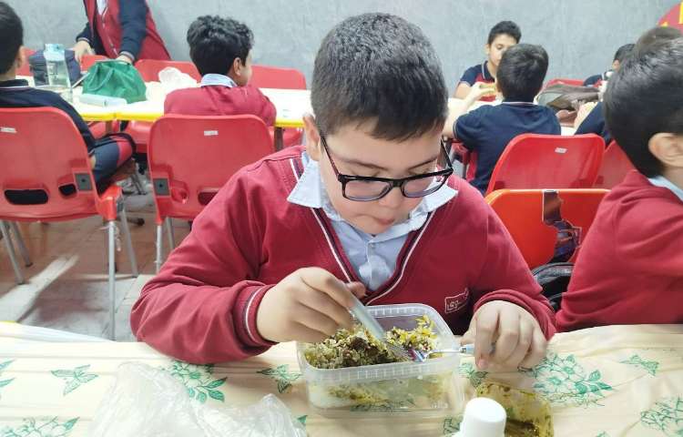 توزیع ناهار 5