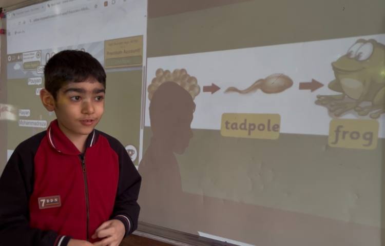 توصیف چرخه‌ی زندگی قورباغه و مرغ-زنگ Science 3