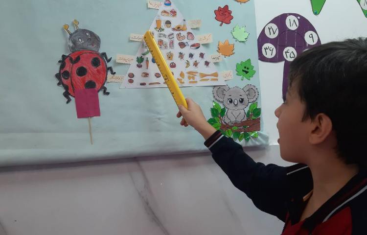 توضیح درباره هرم مواد غذایی 2