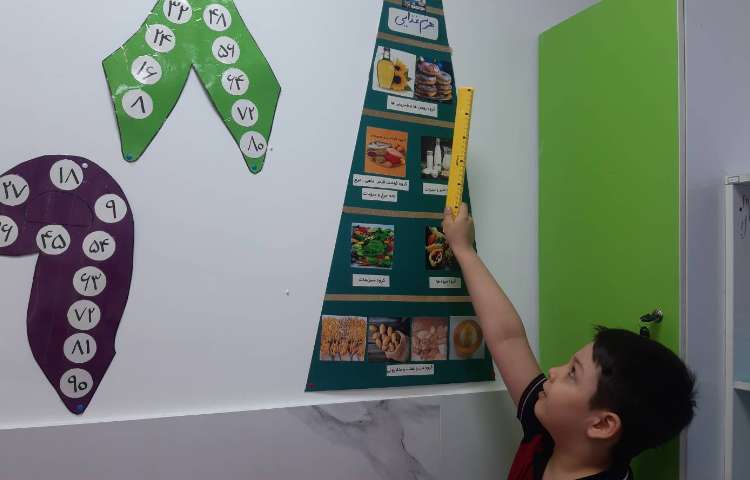 توضیح درباره هرم مواد غذایی 3