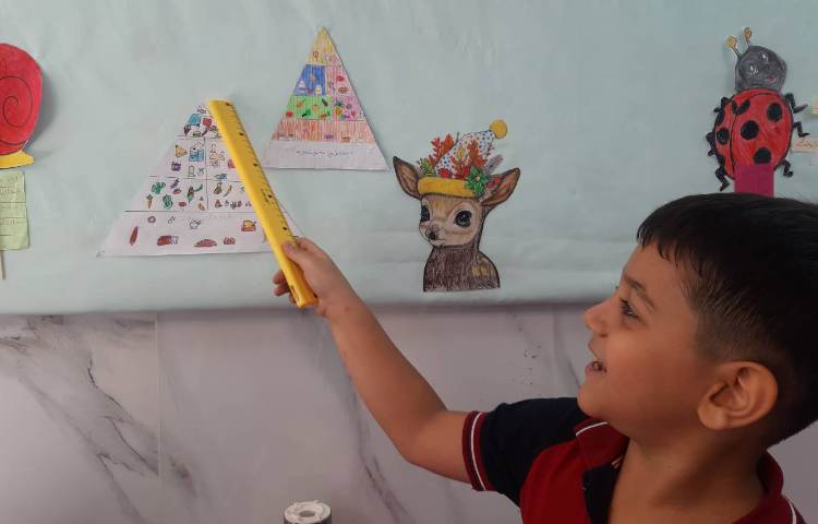 توضیح درباره هرم مواد غذایی 4