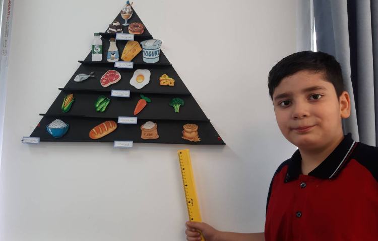 توضیح درباره هرم مواد غذایی 5