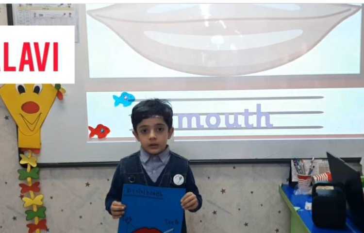 توضیح parts of a mouth