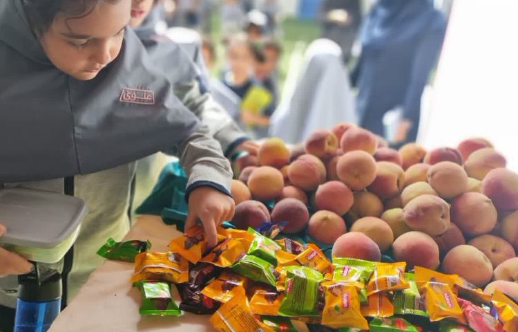 تولد امام حسن عسگری (ع) 6