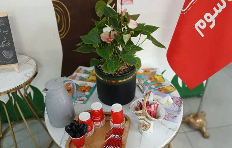 تیم ثبت نام 2