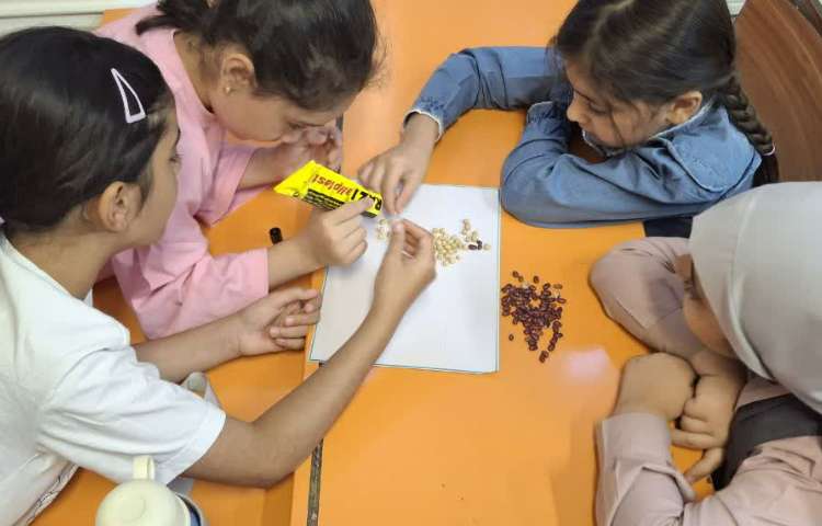 جادوی اعداد 3