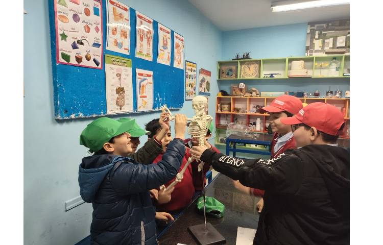 جانوران مهره‌دار و بی‌مهره 3