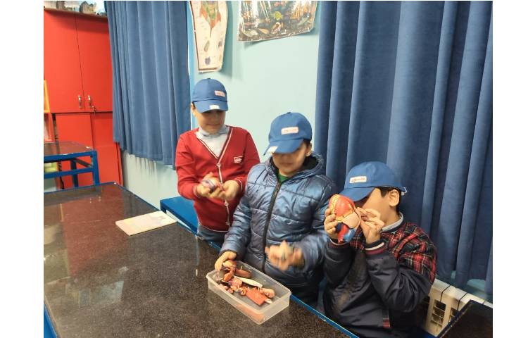 جانوران مهره‌دار و بی‌مهره 3