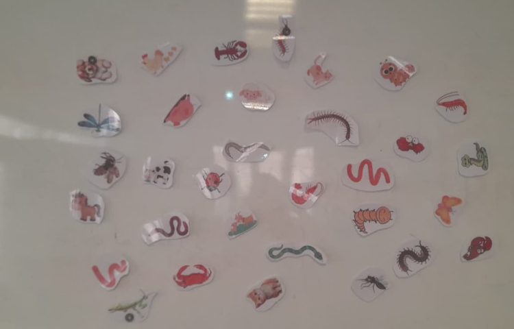 جانوران مهره دار و بی مهره 3