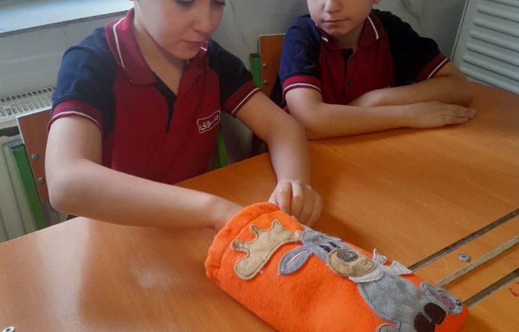 جانوران مهره دار و بی مهره 4