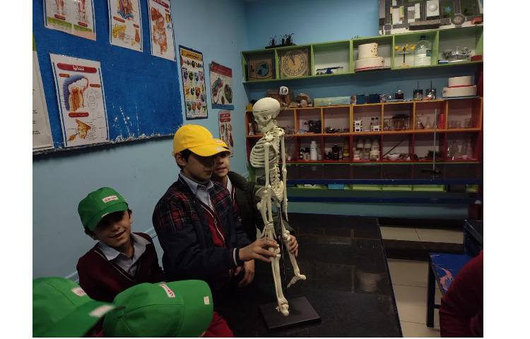 جانوران مهره‌دار و بی‌مهره