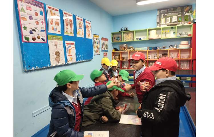 جانوران مهره‌دار و بی‌مهره