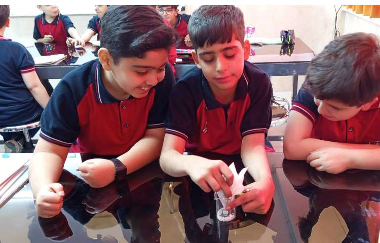 جداسازی مواد 4