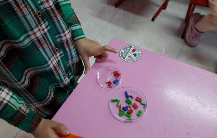 جداسازی میکروب ها 3