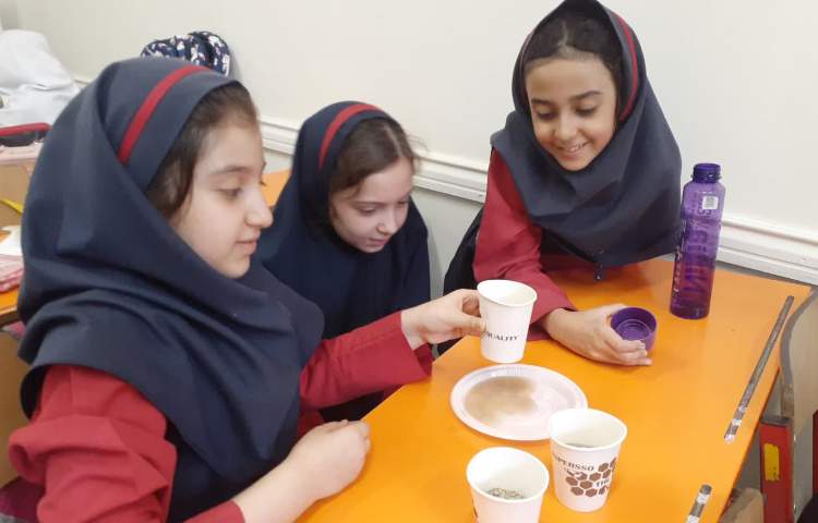 جزیره دانش 1