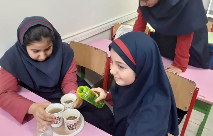 جزیره دانش 4