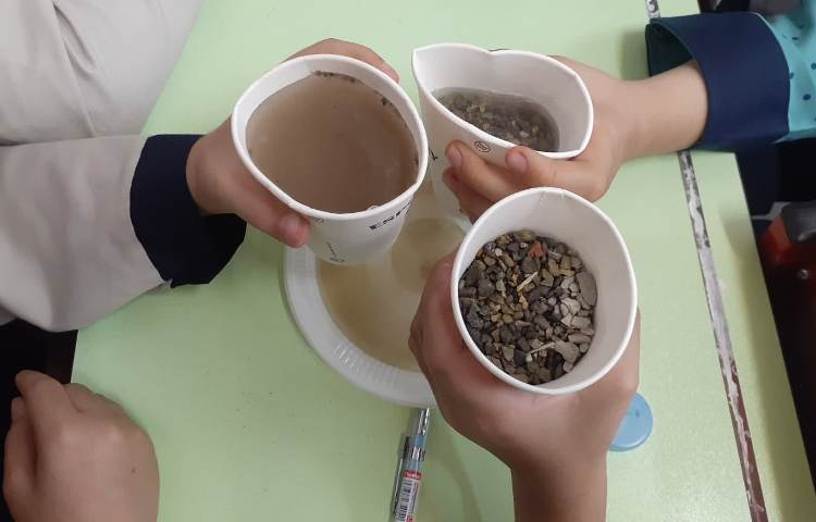 جزیره دانش 5