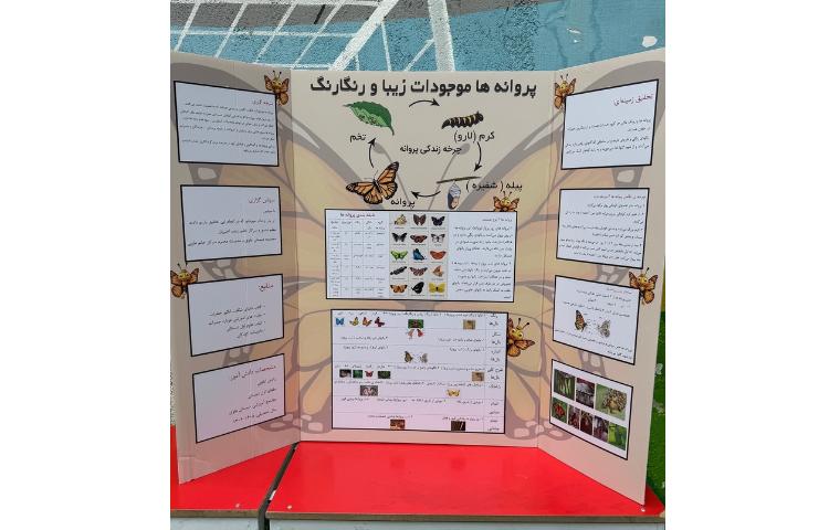 جشنواره جابربن حیان 7