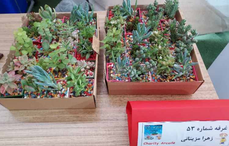 جشنواره خیریه 15