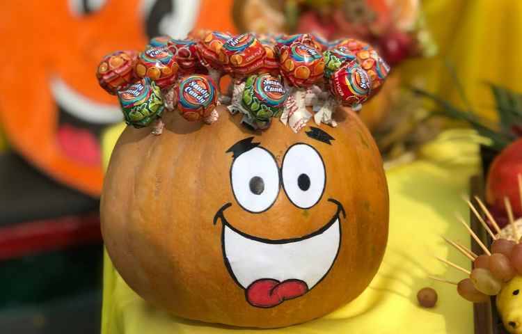 جشنواره سبد جادویی پاییز 8