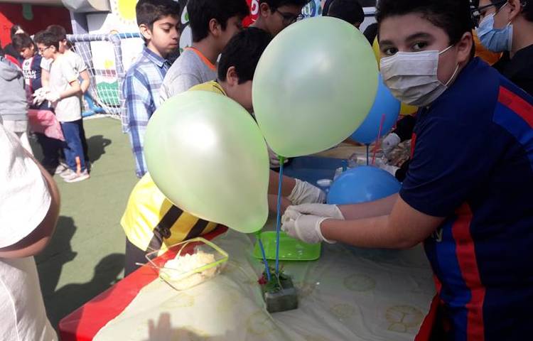 جشنواره غذای سالم دبستان علوی دوره دوم 6